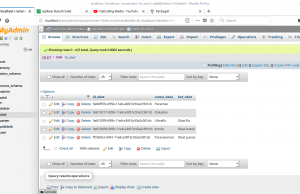 Membuat Tampil Data dari Database MariaDB/MySQL (6)