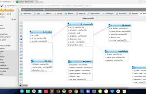 3 Cara Membuat Relasi Antar Tabel di phpMyAdmin (20)