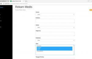 Membuat Form Combobox dan Select Multiple dari Database (21)